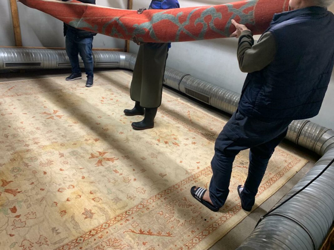 , Astuces pour entretenir vos tapis dans un espace à fort passage